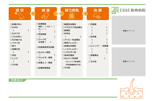 治療方針のご提案