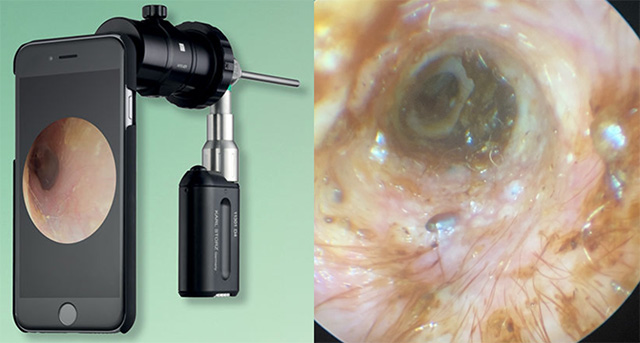 豊富な知識と検査方法