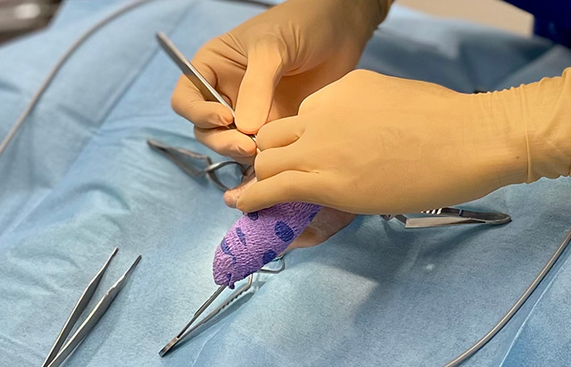 豊富な手術実績と適切な手術の実施