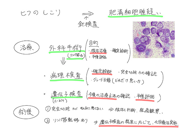 検査結果の説明・治療方針のご相談