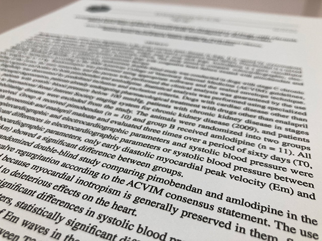 心臓と腎臓、両方を守る治療