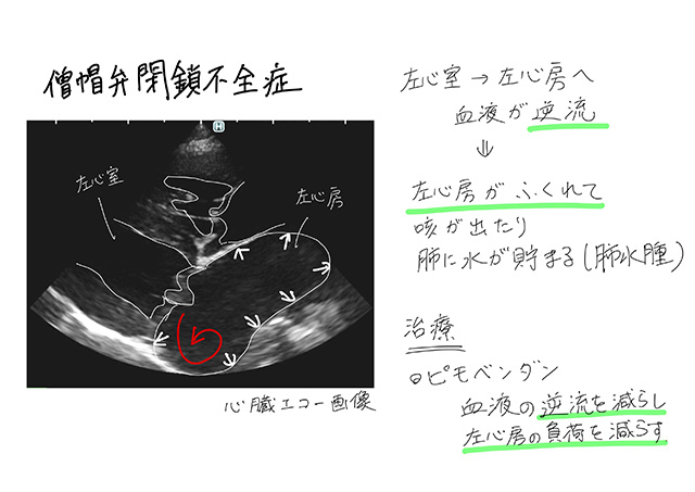 治療内容と目的がわかるしっかりとした説明