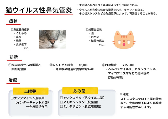 検査結果の説明・治療方針のご相談