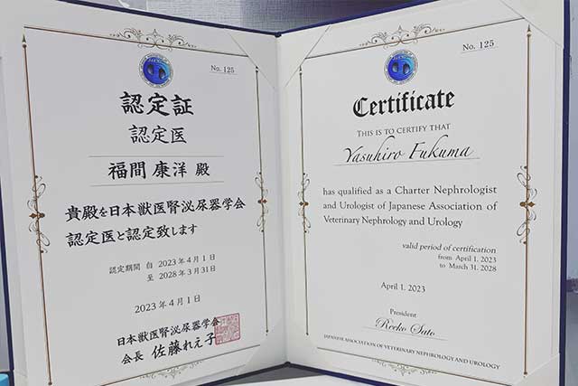 細やかな内科治療の実施