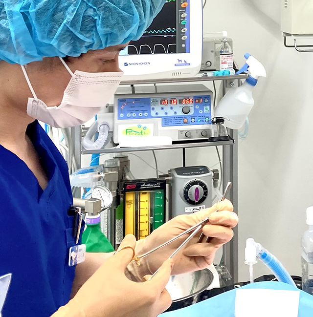 異物摘出や腸の腫瘍摘出などの豊富な手術実績