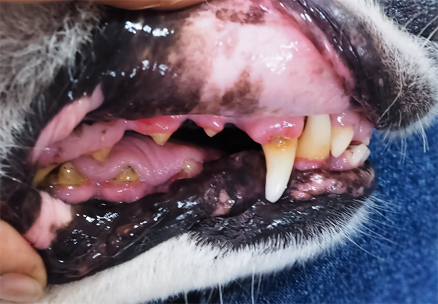 偶然発見した腫瘍への適切な対応