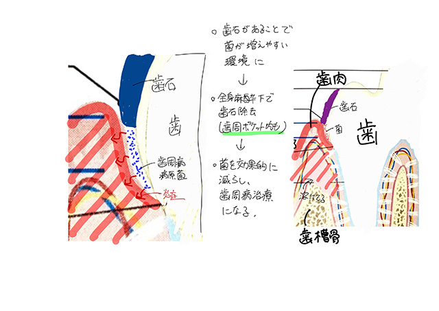 検査結果の説明・治療方針のご相談