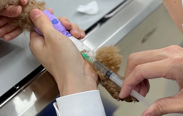 発作の通常管理と緊急管理が可能