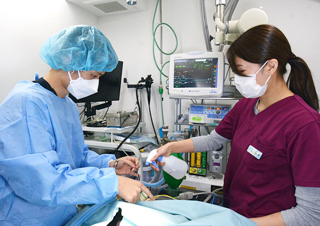 痛みに配慮した麻酔