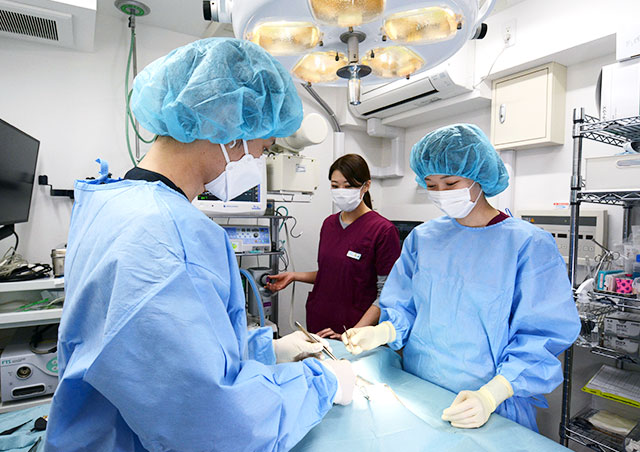 麻酔の種類について