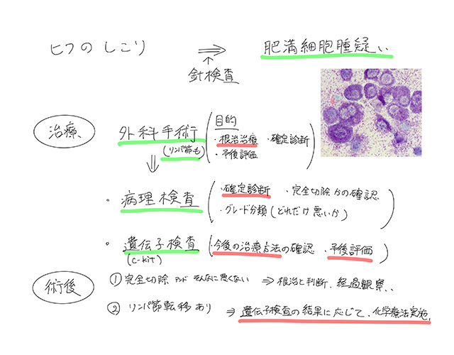 診断・治療方針のご提案